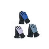 Crane Damen-/Herren Skihandschuhe HOFER 1 Paar