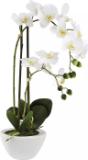 Promotion Bild von modern living Kunstpflanze „Orchidee“ 4297040701 mömax 1 Stück