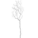 modern living Dekozweig „SAM“ 42970230 mömax 1 Stück