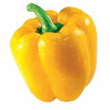 SPAR knackiger Paprika gelb oder rot SPAR 1 Stück