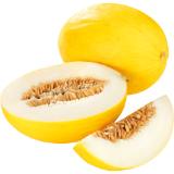 Honigmelone, Preisangabe ohne MwSt. (Preis inkl. MwSt. 3,29 €), METRO 1 Stück