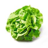 Da komm’ ich her! Häuptelsalat BILLA 1 Stück