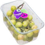 Trauben kernlos blau oder weiß, Preisangabe ohne MwSt. (Preis inkl. MwSt. 2,19 €), METRO 500 Gramm 1 Packung