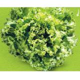 Zurück zum Ursprung Bio-Spezialsalat  aus Österreich HOFER 1 Stück