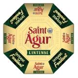 Saint Agur Edelpilzkäse MPREIS 100 Gramm