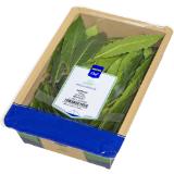 Metro Chef Kräuter div. Sorten, Preisangabe ohne MwSt. (Preis inkl. MwSt. 3,29 €), METRO 100 Gramm 1 Packung