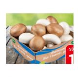 Promotion Bild von Bad Blumauer Bio-Champignon Mix aus Österreich, EUROSPAR 200 Gramm 1 Packung