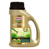 Substral Magisches Rasen-Pflaster 649280 HELLWEG 1 Kilogramm 1 Packung