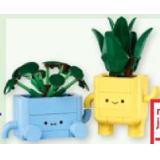 LEGO BOTANICALS 10349 Fröhliche Pflanzen maxi.preisjoker Maximarkt 1 Set