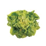 Bild von zarter, frischer Kopfsalat SPAR 1 Stück