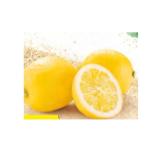 Promotion Bild von Hofer Marktplatz Zitronen HOFER 1 Kilogramm 1 Packung