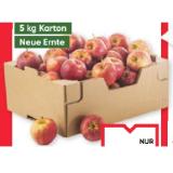 Oberösterr. Arlet Äpfel Maximarkt 5 Kilogramm 1 Packung
