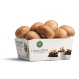 Bild von Tyrolpilz Bio-Steinchampignons MPREIS 200 Gramm 1 Packung
