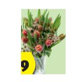 Tulpenstrauss Ostergruss HOFER 1 Bund