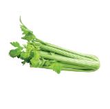 Bio Stangensellerie Lidl APP Preis 1 Stück