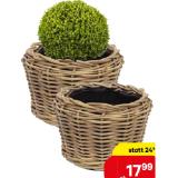 VAN DER LEEDDON Pflanzkorb Rattan „Drypot“ 9430500 BayWa 1 Stück