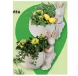 Bild von Bepflanzter Terracotta Osterhase versch. Variationen Lidl APP Preis 1 Stück