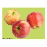 Oberösterr. Elstar Äpfel Maximarkt 1 Kilogramm