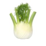 Bild von Bio Fenchel MPREIS 1 Kilogramm