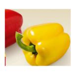 Paprika rot od. gelb BILLA 1 Stück