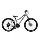 Bild von X-FACT KINDERFAHRRAD REBELS GIRL 24 HERVIS 1 Stück