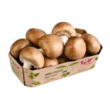 Ja! Natürlich frische Tiroler Bio-Cremechampignons BILLA PLUS 200 Gramm 1 Packung