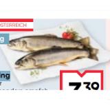 Maier Österr. Saibling Maximarkt 100 Gramm