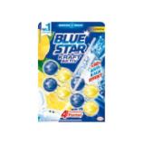 Promotion Bild von Blue Star Beckensteine versch. Sorten Sutterlüty 2 Stück