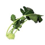 Promotion Bild von Kohlrabi Unimarkt 1 Stück