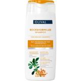 Bild von OLIVAL Shampoo Bockshornklee dm 250 Milliliter 1 Stück