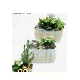 Weihnachtliches Arrangement HOFER 1 Stück