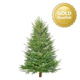 Promotion Bild von Plantiflor Nordmanntanne „Gold-Qualität“, 150-200 cm 566451 HELLWEG 1 Stück