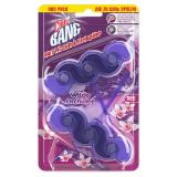 Cillit Bang WC-Stein 6in1 div. Sorten dm 2 Stück