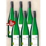 Forstreiter Grüner Veltliner Kalk & Stein Kremstal DAC 2024 BILLA PLUS 0.75 Liter 1 Flasche
