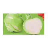 Zurück zum Ursprung Bio-Kohlrabi aus Österreich HOFER 1 Stück