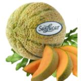 Bild von SanLucar Zuckermelone Cantaloupe Premiumqualität Sutterlüty 1 Stück