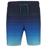 Cygnus Herren Boardshort gemustert HERVIS 1 Stück