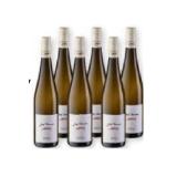 Dockner Chardonnay Selektion Maximarkt 0.75 Liter 1 Flasche