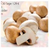 Champignons weiß oder braun HOFER