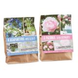 Agapanthus/Pfingstrosen Zwiebeln Lidl 1 Packung