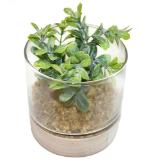Promotion Bild von modern living Kunstpflanze „SUKKULENTE“ 42975211 mömax 1 Stück