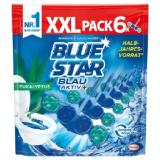 Blue Star WC-Stein versch. Sorten Lidl 50 Gramm 6 Stück