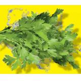 Petersilie Lidl APP Preis 1 Bund