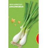 HOFER Marktplatz Jungzwiebeln HOFER 1 Bund