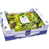 Metro Chef Salatmix mit Blumen, Preisangabe ohne MwSt. (Preis inkl. MwSt. 15,39 €), METRO 800 Gramm 1 Packung