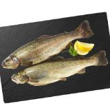 Promotion Bild von Frische Forelle Penny 1 Kilogramm