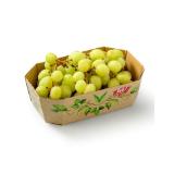 Promotion Bild von Ja! Natürlich Bio-Trauben weiß od. rot kernlos BILLA 500 Gramm 1 Packung