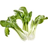 Pak Choi, Preisangabe ohne MwSt. (Preis inkl. MwSt. 4,38 €), METRO 2 Stück