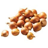 Zwiebeln gelb aus Österreich Lidl 1 Kilogramm 1 Packung