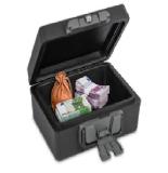 Workzone Feuerbeständige Dokumentenkassette HOFER 1 Stück